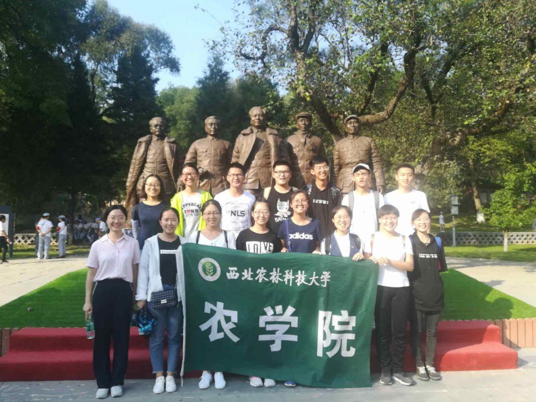 18.1% 效率！科学家开发出世界上最高效的量子点太阳能电池，为商业化迈出重要一步【附太阳能电池技术赛道观察图谱】